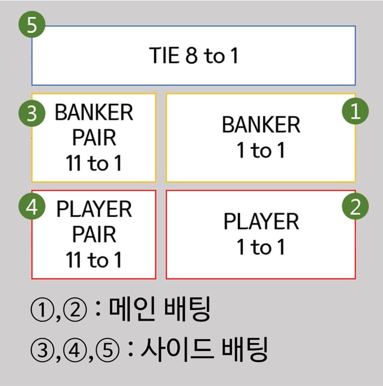 바카라-배팅-방법