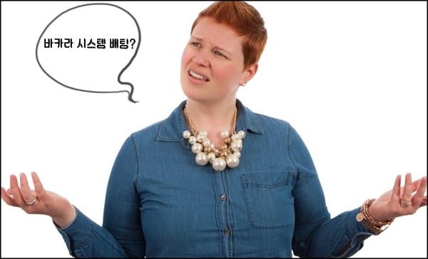 바카라 시스템 배팅 뜻